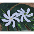 4" Foam Flower Tiare Hair Pick Island Party